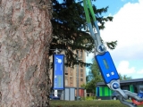 TRU樹木雷達、Picus 3和TreeQinetic樹木拉伸測試儀落戶長春市園林植物保護站